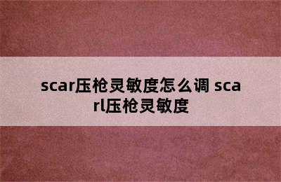 scar压枪灵敏度怎么调 scarl压枪灵敏度